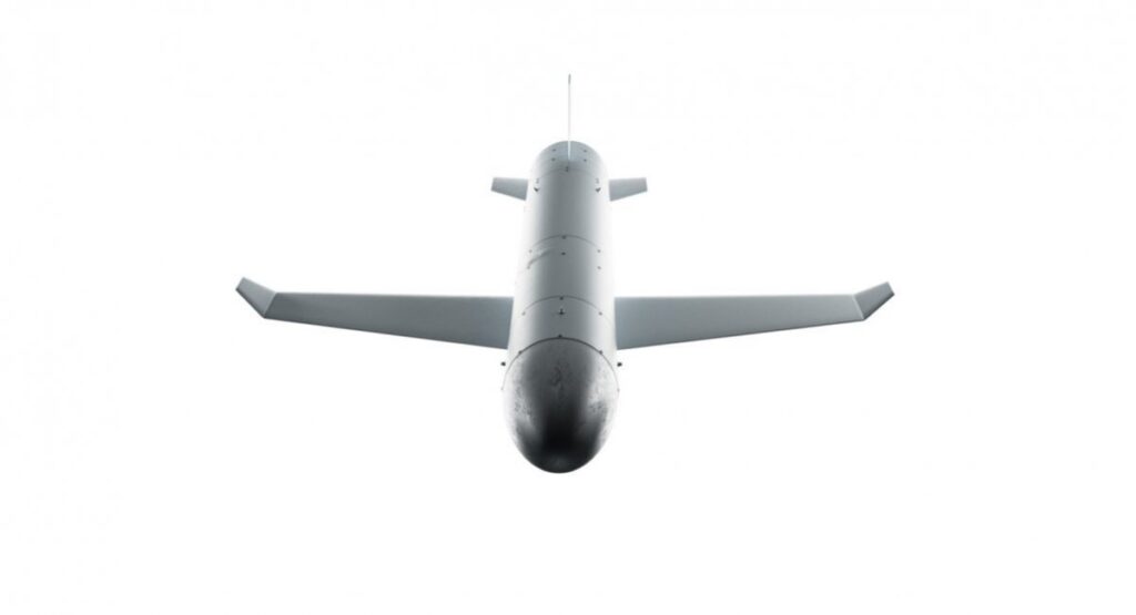 Ukraines long range drones - Palianytsia